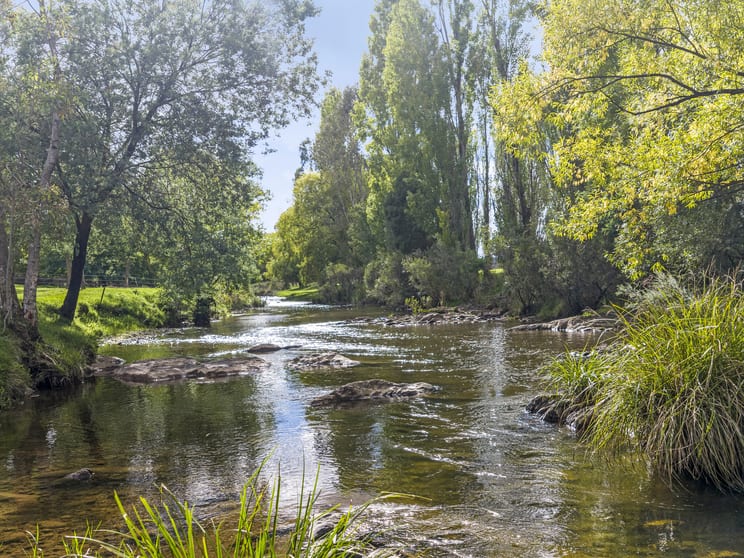 Click to view all images 443 Howes Creek-Goughs Bay Road Goughs Bay VIC 3723 - Image 1