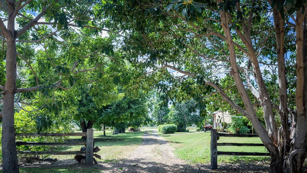 14237/ Capricorn Highway Dingo QLD 4702 - Image 3