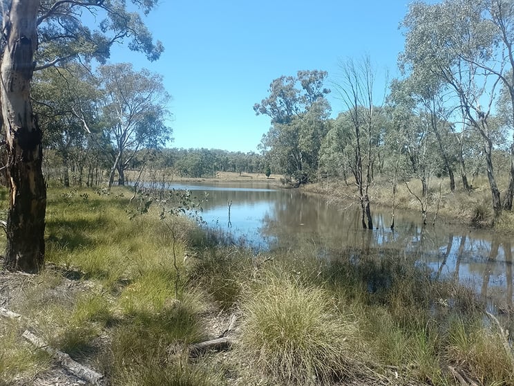Click to view all images 1025 Castlereagh Highway Dunedoo NSW 2844 - Image 1