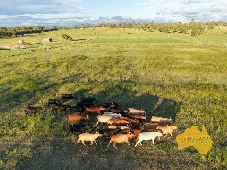 Click to view all images 854 MUNDUBBERA-DURONG ROAD Boynewood QLD 4626 - Image 2