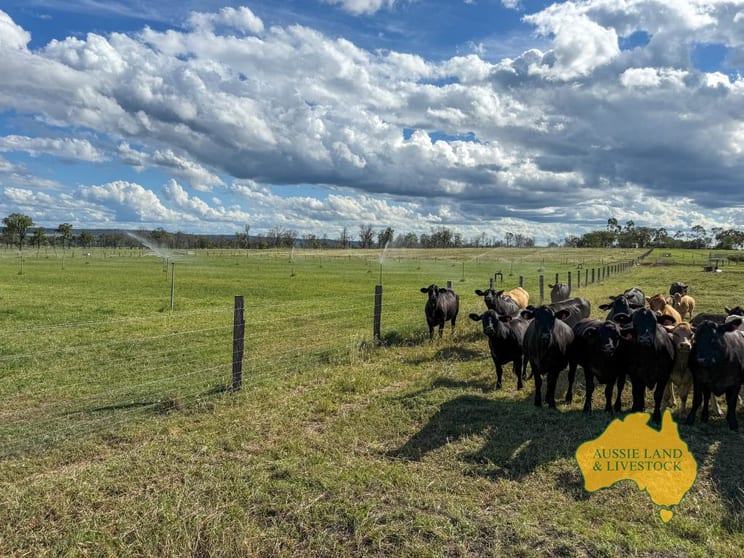 Click to view all images 854 MUNDUBBERA-DURONG ROAD Boynewood QLD 4626 - Image 3