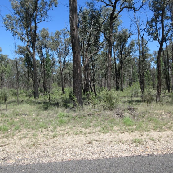 Click to view all images Lot 6 Wallaby Track Tara QLD 4421 - Image 1