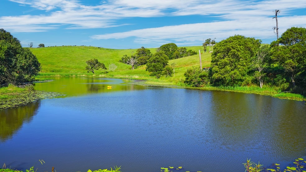 Click to view all images 110 Blacks Road Dalrymple Heights QLD 4757 - Image 2