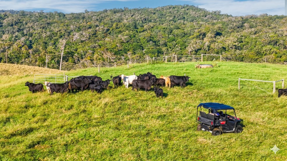 Click to view all images 110 Blacks Road Dalrymple Heights QLD 4757 - Image 3
