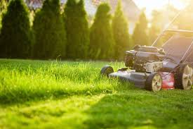 Garden & Household  business for sale in Brisbane Region QLD - Image 2