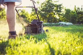Garden & Household  business for sale in Brisbane Region QLD - Image 3
