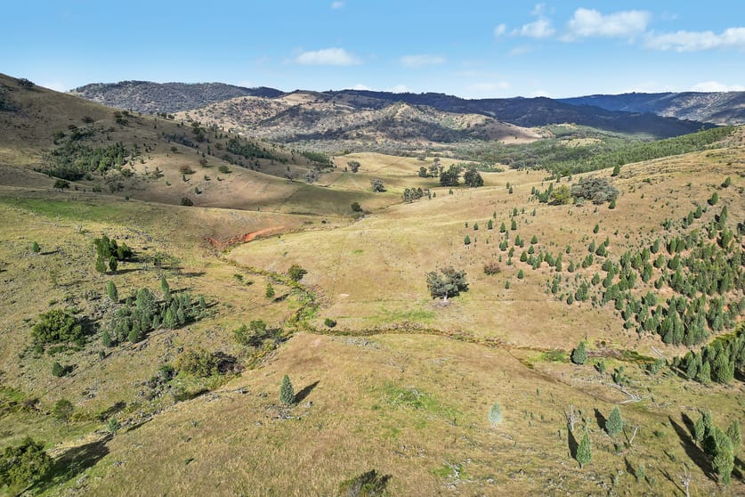 Click to view all images 2/1193 Yarrabin Road Mudgee NSW 2850 - Image 3
