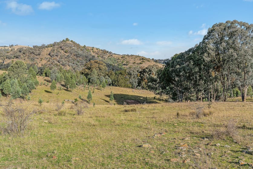 Click to view all images 2/1193 Yarrabin Road Mudgee NSW 2850 - Image 2