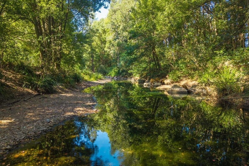 Click to view all images 728 Misssabotti Road Missabotti NSW 2449 - Image 2