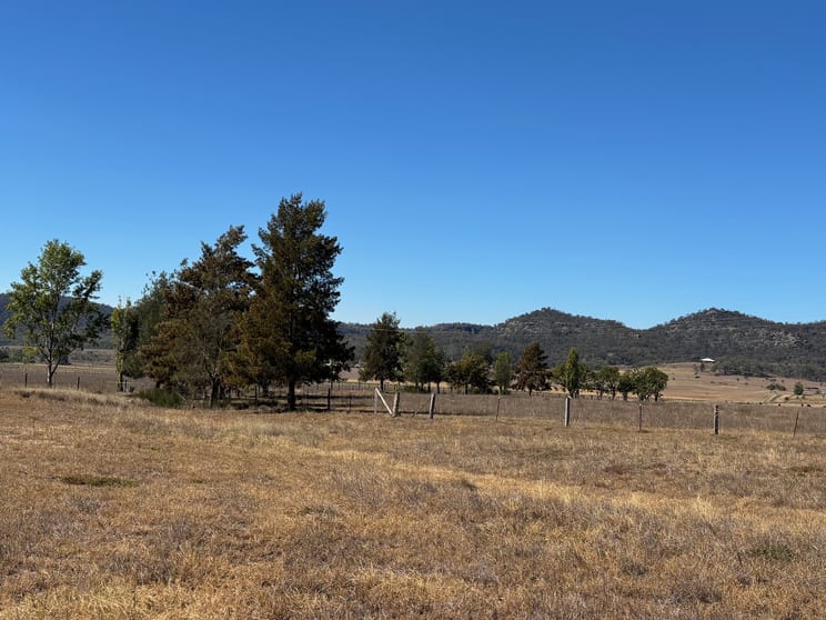 Click to view all images 197 Mount Dangar Road, Baerami NSW 2333 - Image 3