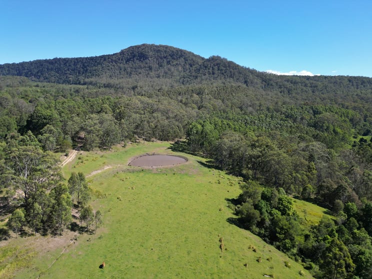 Click to view all images Lot 40 Joes Box Road Yabbra NSW 2469 - Image 3