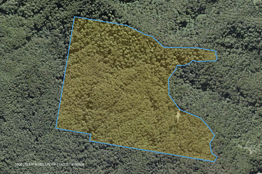 Click to view all images 1000 Urliup Road Urliup NSW 2484 - Image 3