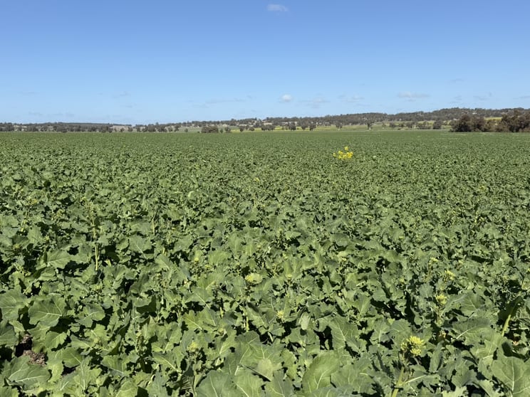 Butchers Road Dale WA 6304 - Image 2