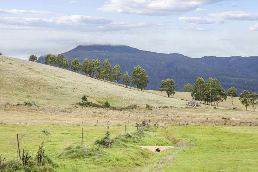 38485 Tasman Highway Targa TAS 7259 - Image 2