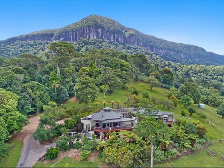 367 Settlement Road Numinbah NSW 2484 - Image 2