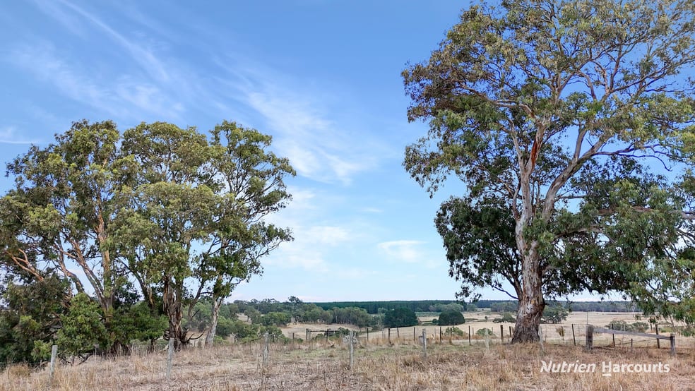 Click to view all images Lot 1 Old Mt Gambier Road Casterton VIC 3311 - Image 2