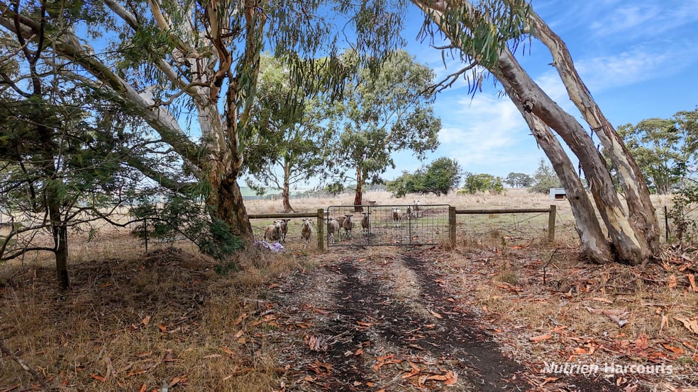 Click to view all images Lot 1 Old Mt Gambier Road Casterton VIC 3311 - Image 3