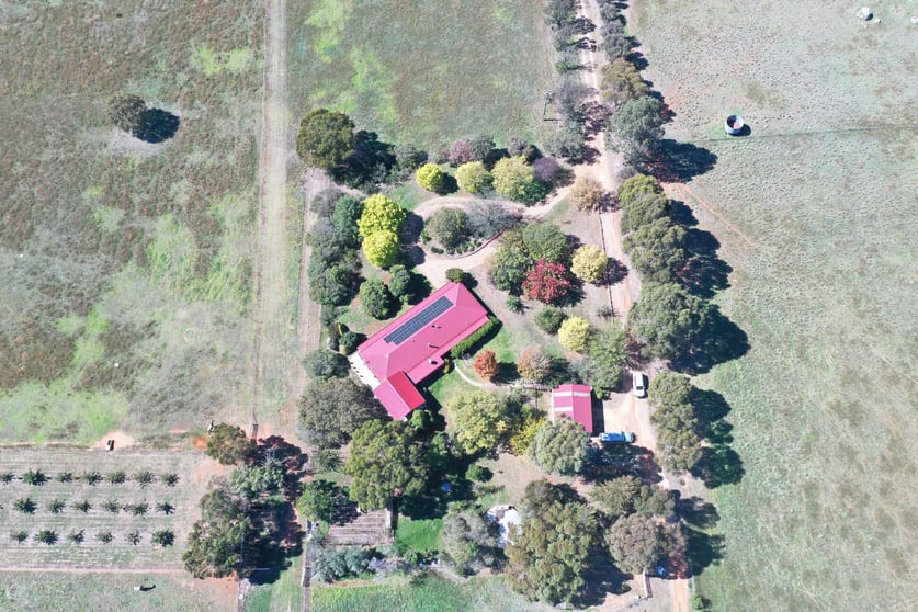 Click to view all images 216 Good Friday Gully Road Maimuru via Young NSW 2594 - Image 3