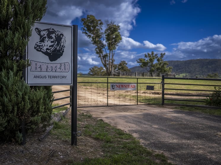 Tarana NSW 2787 - Image 3