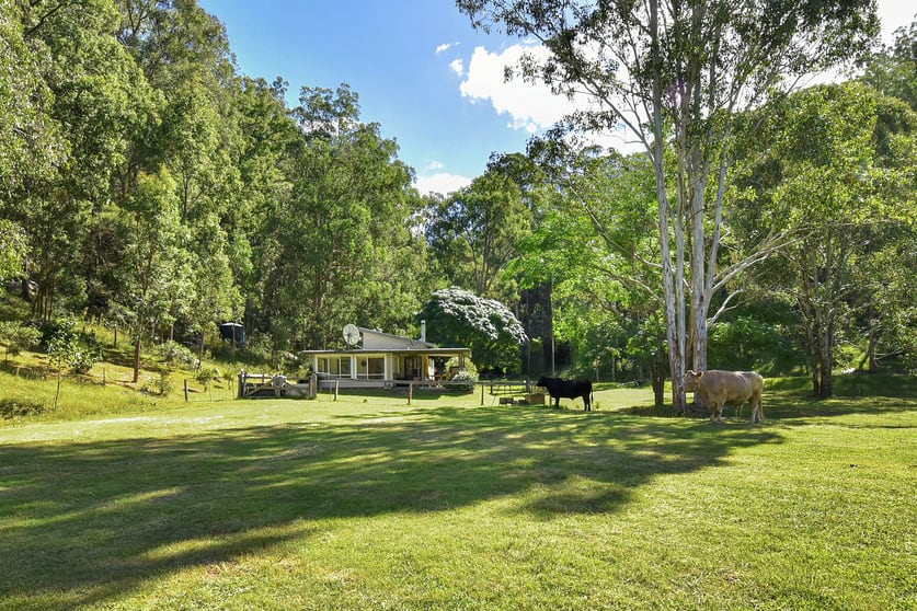 Click to view all images 181 Coolawine Rd Wollombi NSW 2325 - Image 1