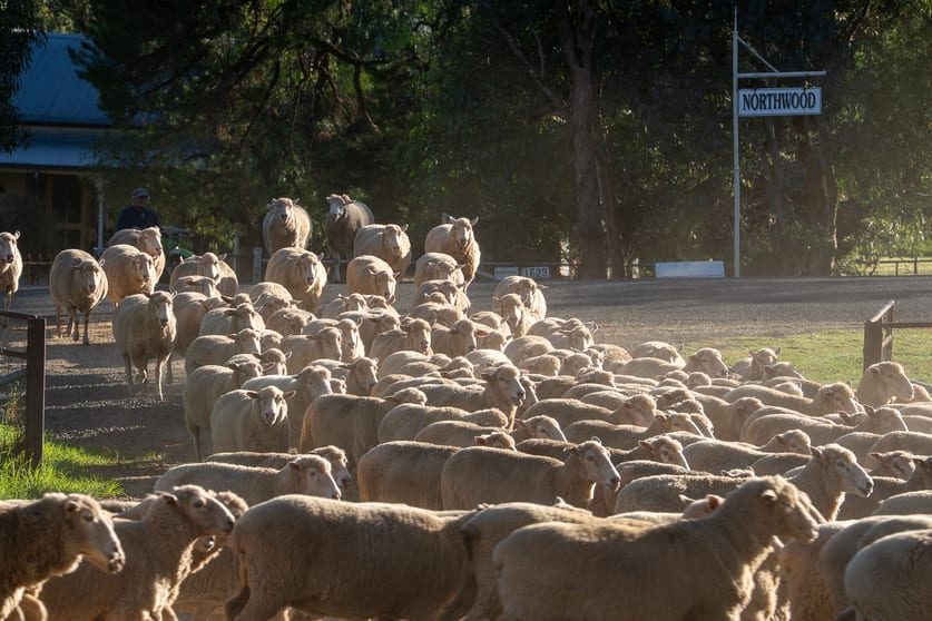 Click to view all images 1629 Darby Falls Road Cowra NSW 2794 - Image 2