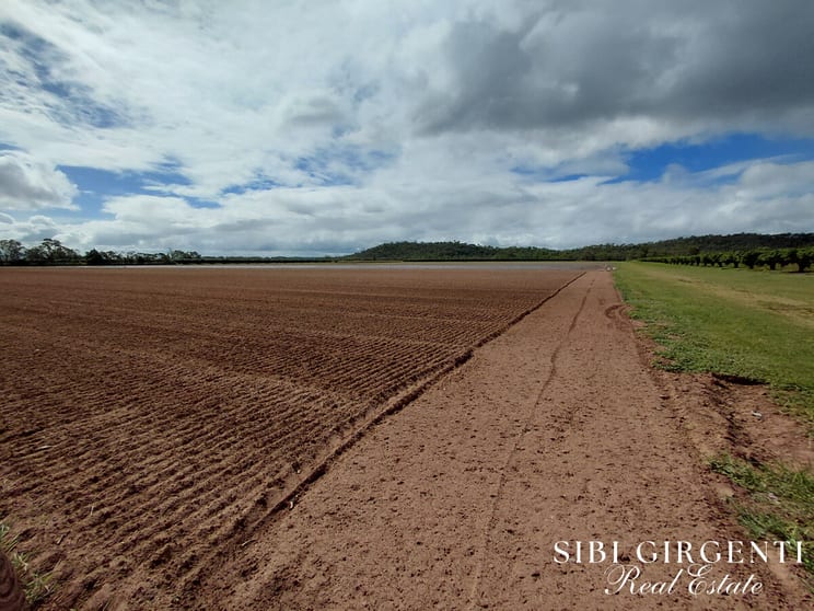 262/ Gilmore Road Mareeba QLD 4880 - Image 2
