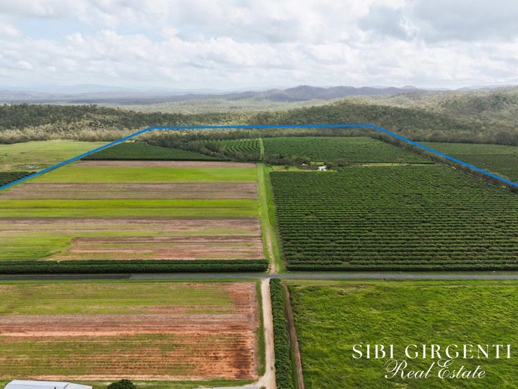 262/ Gilmore Road Mareeba QLD 4880 - Image 3