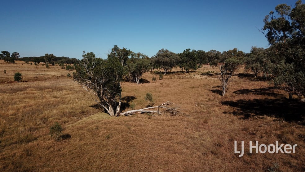 Click to view all images Gwydir Highway Inverell NSW 2360 - Image 3