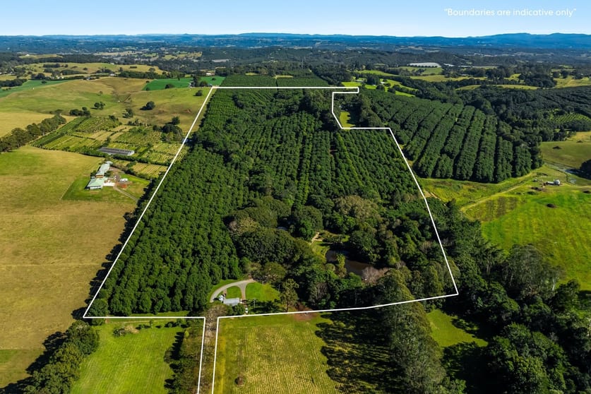 Click to view all images 493 Friday Hut Road Brooklet NSW 2479 - Image 3