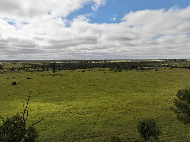 5074 Alpha Tambo Road Alpha QLD 4724 - Image 2