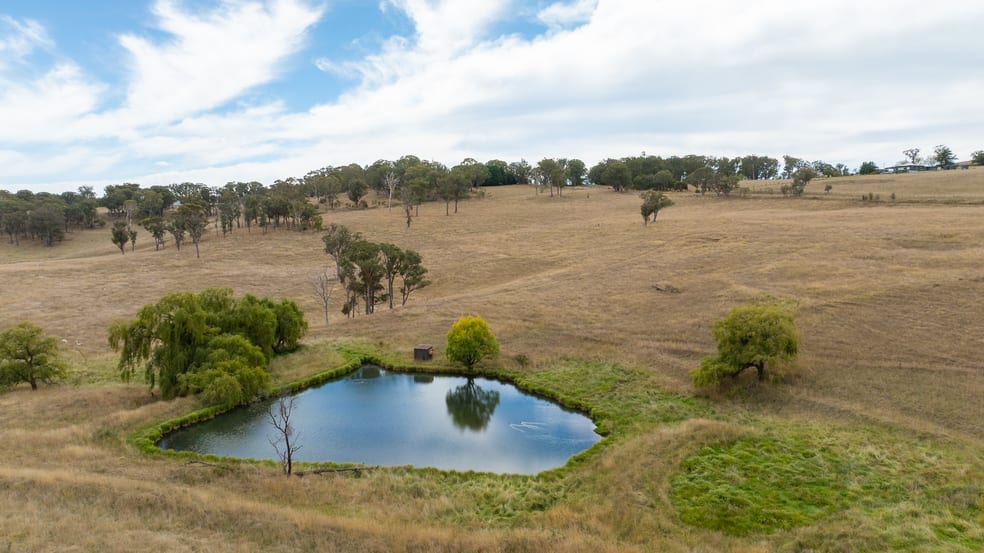 "Rose Valley" 379 & Toms Gully Road Black Mountain NSW 2365 - Image 2