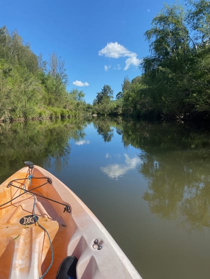 Click to view all images 100 Torryburn Road, Torryburn via Vacy NSW 2421 - Image 2