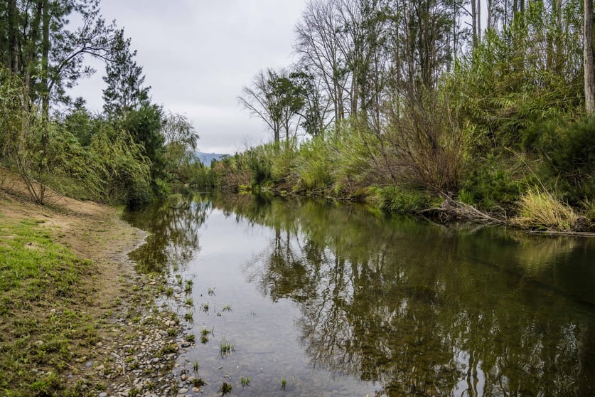 Click to view all images 100 Torryburn Road, Torryburn via Vacy NSW 2421 - Image 3