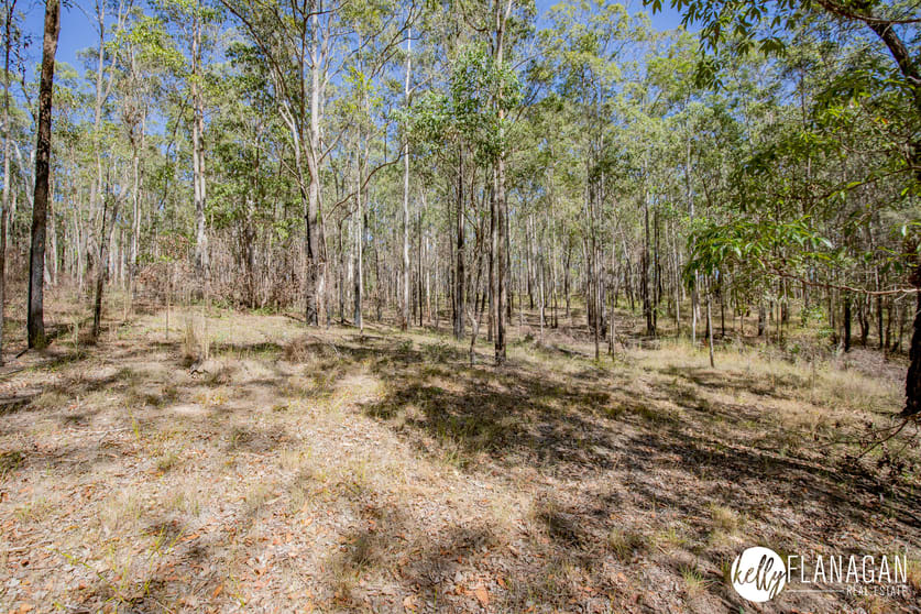 65 Temagog Road Temagog NSW 2440 - Image 3