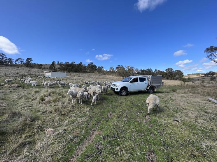 Click to view all images lot 188/940 Hanworth Road Bannaby NSW 2580 - Image 3
