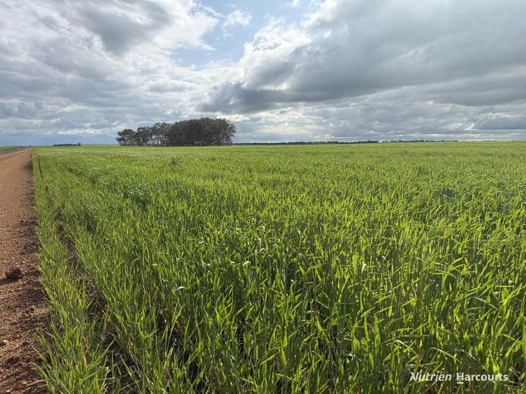 Lot 12 Bates Road Monjingup WA 6450 - Image 3