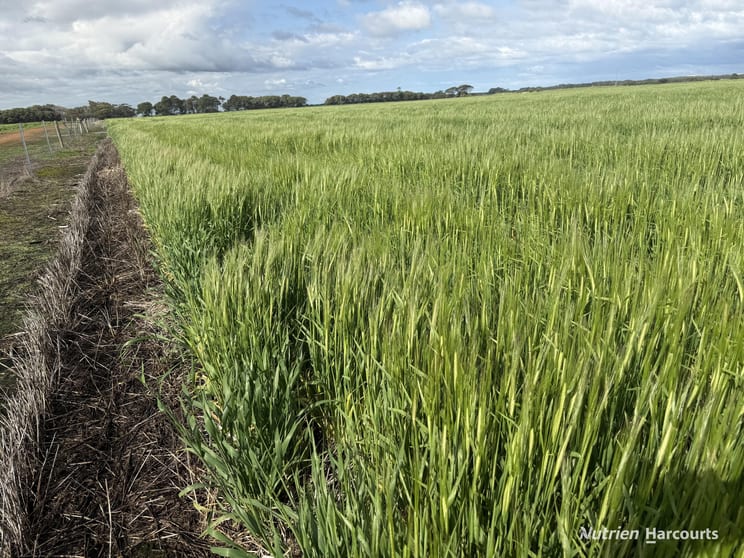 Lot 12 Bates Road Monjingup WA 6450 - Image 2