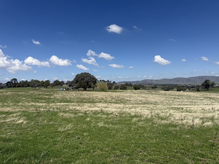 Click to view all images Camerons Hill Lot 17 Reynolds Lane Binalong NSW 2584 - Image 3
