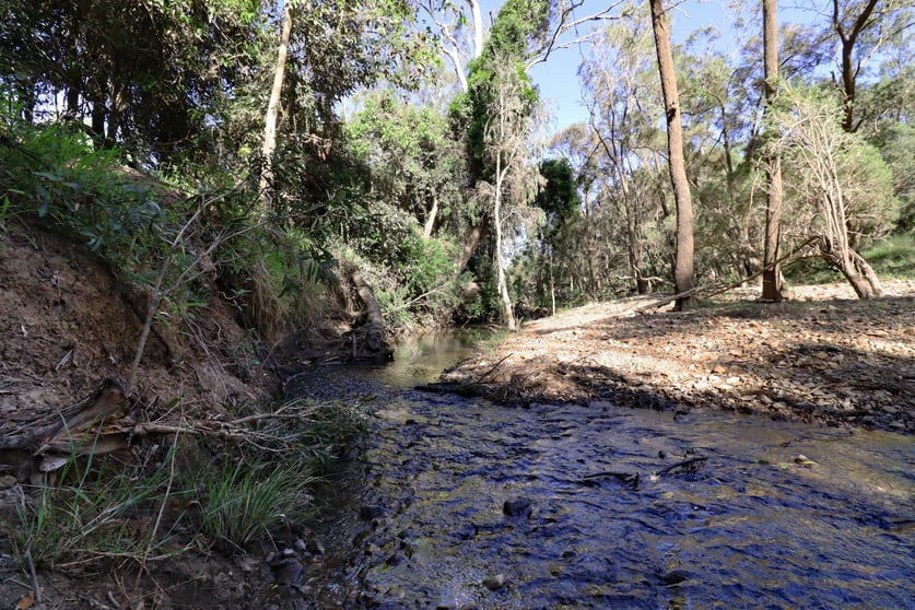 2956 Dawson Highway Calliope QLD 4680 - Image 3
