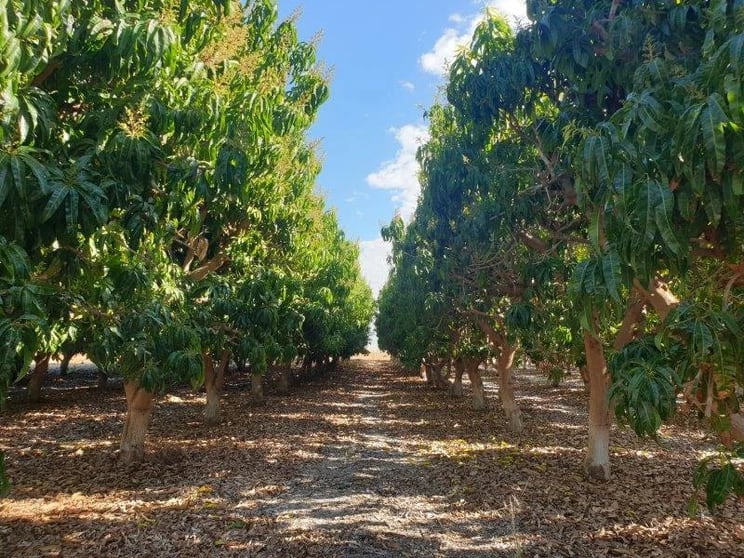 Click to view all images Rural & Farming business for sale in Perth - Image 3