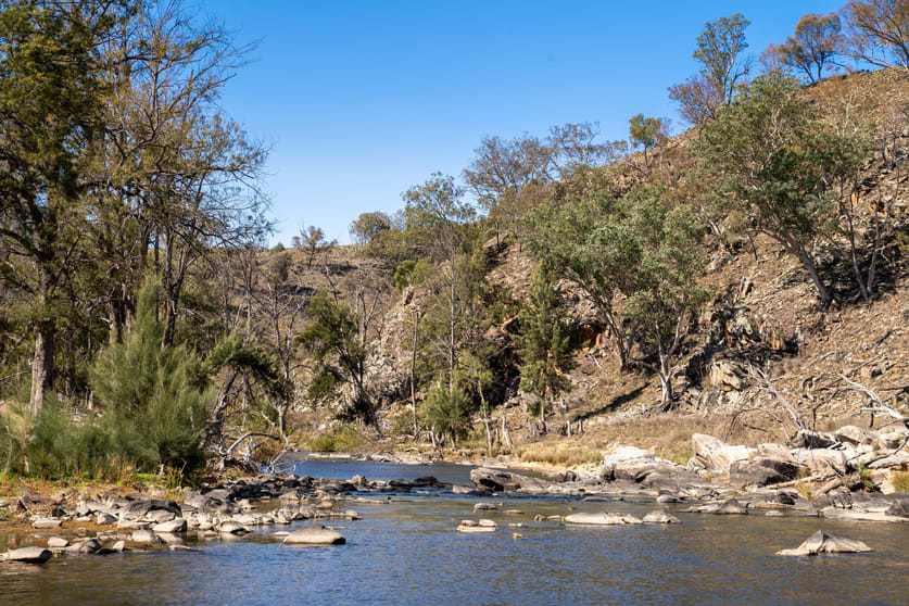 'Warra Creek' 652 Killongbutta Road, Killongbutta via Bathurst NSW 2795 - Image 2