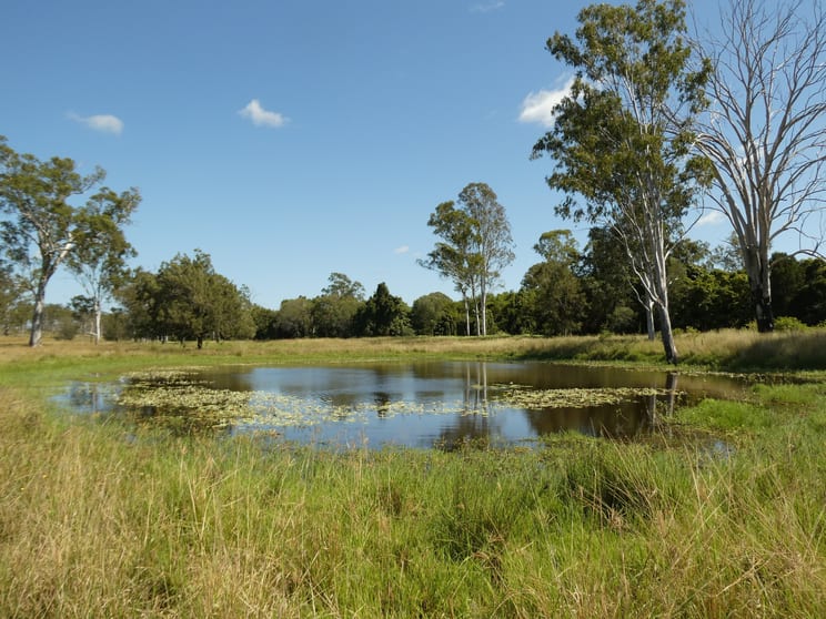 Click to view all images Lot 31 Brooweena Woolooga Road Teebar QLD 4620 - Image 2