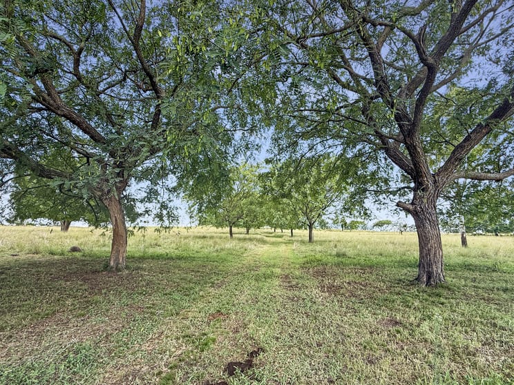 38 Nestle Lane Toogoolawah QLD 4313 - Image 2