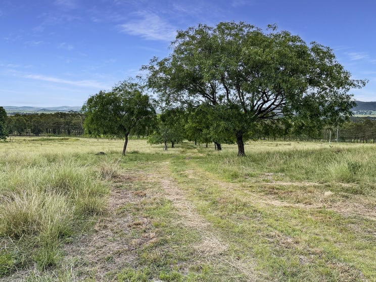 38 Nestle Lane Toogoolawah QLD 4313 - Image 3