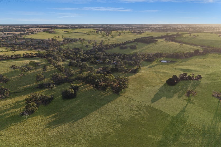 810 Coojar Lane Tarrayoukyan VIC 3315 - Image 3