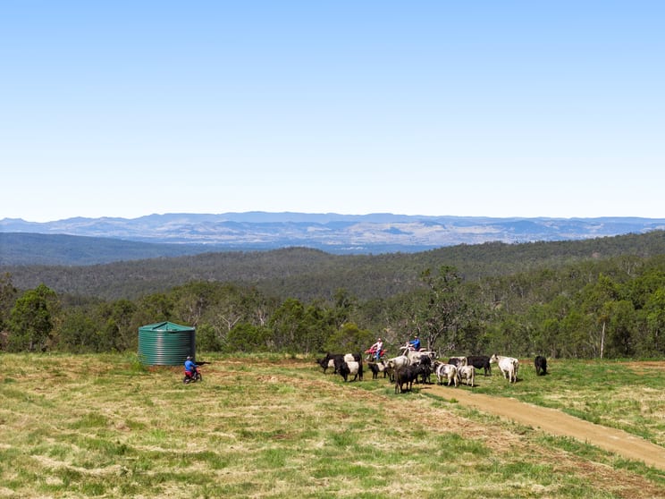 Click to view all images "Bellbird Ridge" Lot 445 Ted Road Geham QLD 4352 - Image 2