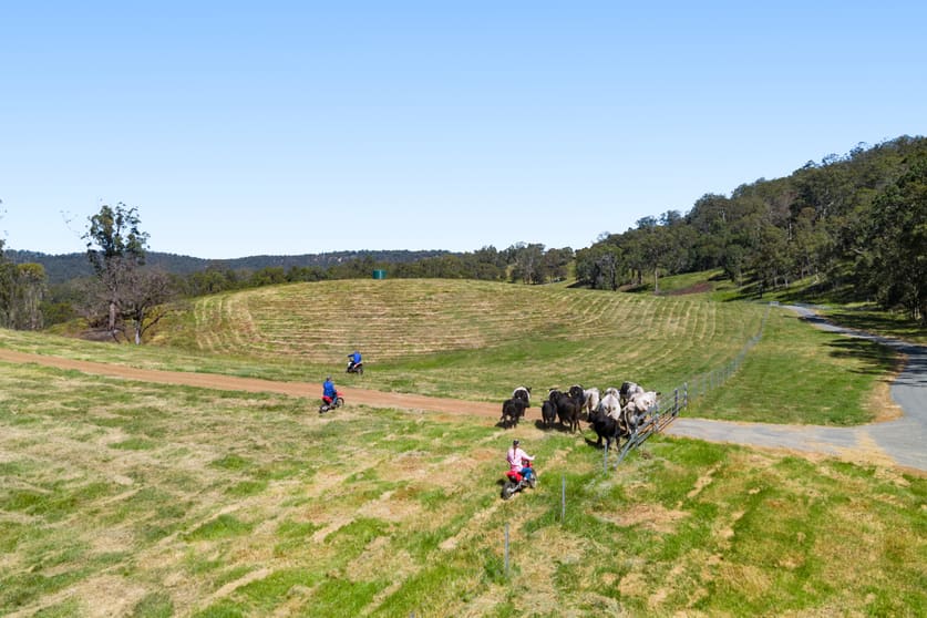 Click to view all images "Bellbird Ridge" Lot 445 Ted Road Geham QLD 4352 - Image 3