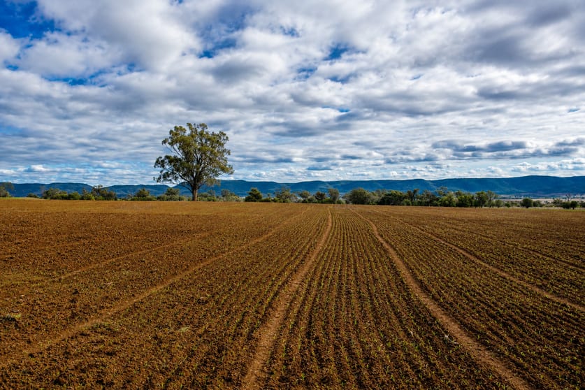 Click to view all images 823 Eulourie Road Bingara NSW 2404 - Image 1