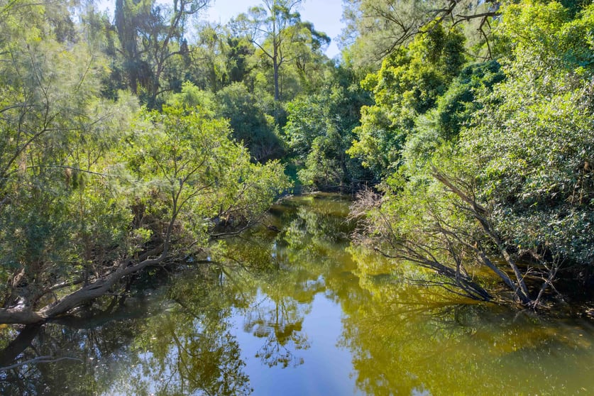 Click to view all images 1476 Kandanga Creek Road Upper Kandanga QLD 4570 - Image 3
