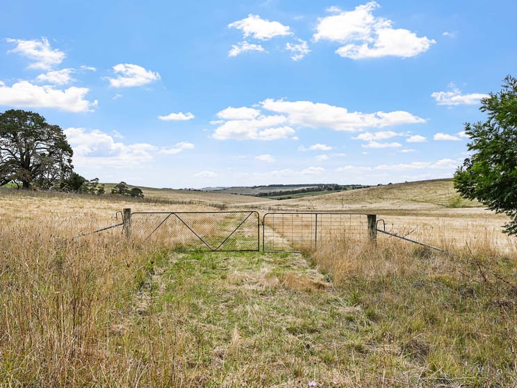 Click to view all images 4231 Dartmoor-Hamilton Road Grassdale VIC 3302 - Image 2